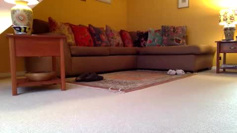 Snapshot of cumonherguys chatting on 11.07.25 cumonherguys online show from 11.07.25