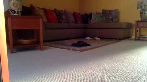 Snapshot of cumonherguys chatting on 11.08.25 cumonherguys online show from 11.08.25