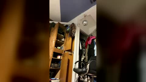 Snapshot of cumsinmealot chatting on 02.02.26 Aprilia online show from 02.02.26