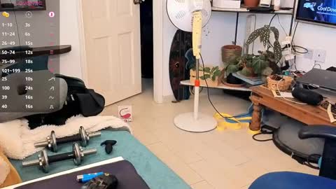 curiousgenie online show from 04.20.26