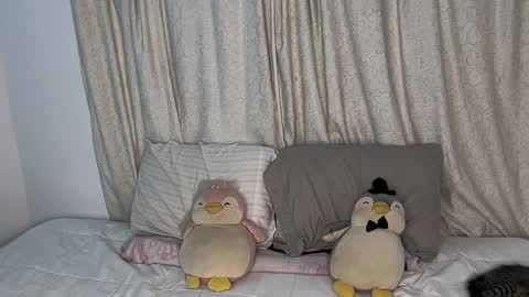 Emma online show from 01.11.25