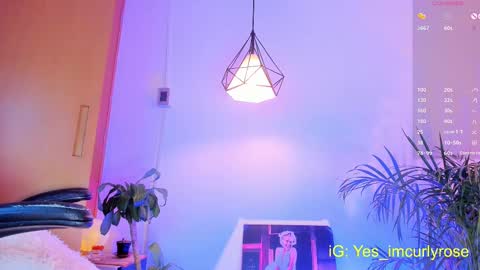 Rose online show from 10.07.25