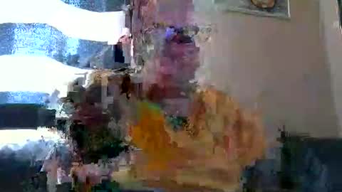 curtus14 online show from 10.26.25