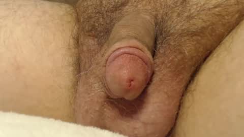 Snapshot of curve66 chatting on 10.16.25 curve66 online show from 10.16.25