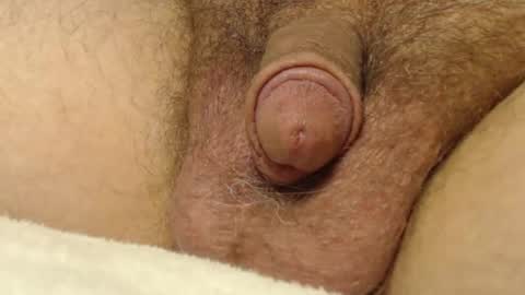 Snapshot of curve66 chatting on 10.22.25 curve66 online show from 10.22.25