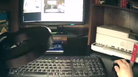 curvelovetool online show from 04.20.26