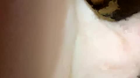 Snapshot of curvy24777 chatting on 02.15.25 curvy24777 online show from 02.15.25