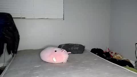 Lucifina ganja kittens online show from 12.20.24