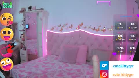 Kitty online show from 11.27.25