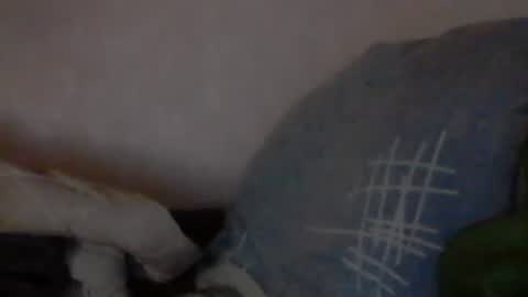 Snapshot of cutekattie chatting on 01.09.25 cutekattie online show from 01.09.25