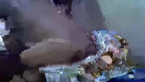 cutesexy44 online show from 10.18.25