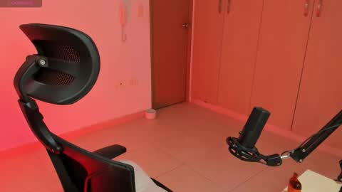 Snapshot of cyborgmuse chatting on 10.25.25 cyborgmuse online show from 10.25.25