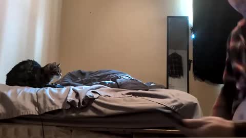 Snapshot of da_man411212 chatting on 02.19.26 da_man411212 online show from 02.19.26