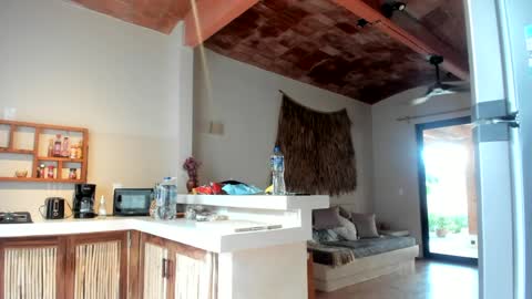 Snapshot of daddy_daycare_ chatting on 03.11.25 Belle Email daddydaycarecb online show from 03.11.25