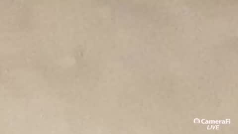 Tommy online show from 09.20.25