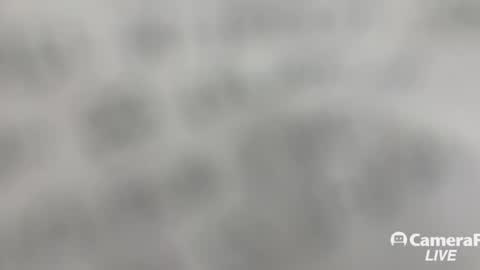 Tommy online show from 11.02.25