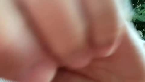 daddydick926 online show from 09.11.25