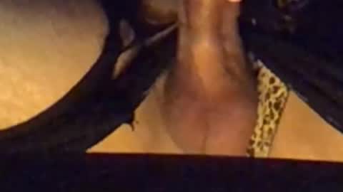 Snapshot of daddypervbuttprincess chatting on 09.13.25 daddypervbuttprincess online show from 09.13.25