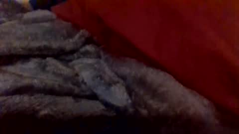 daddywhite88 online show from 01.14.26