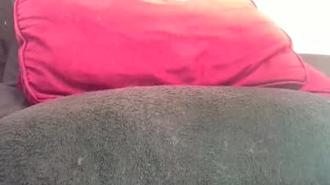 Snapshot of daddyy008 chatting on 11.07.25 daddyy008 online show from 11.07.25