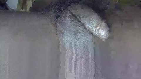 Snapshot of dadyschlong chatting on 06.03.26 GIANT Lamar 72 ft tall with a 10 inches BBC hard quick cumshot in private show lets go online show from 06.03.26
