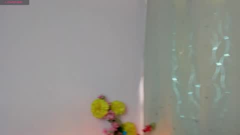 dafnemel online show from 04.11.26