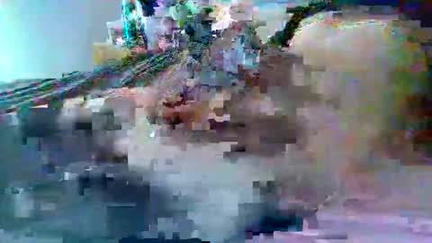 Snapshot of dafo1980 chatting on 02.22.26 dafo1980 online show from 02.22.26