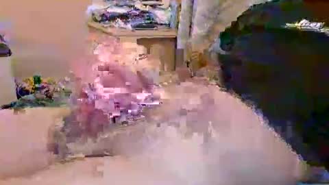 Snapshot of dafo1980 chatting on 04.23.26 dafo1980 online show from 04.23.26