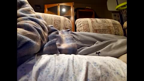 DailyJerker84 online show from 03.01.25