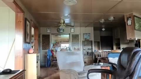 dakit online show from 11.18.25