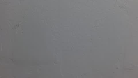 Dakota Johnson online show from 11.08.25