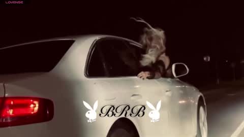 Snapshot of dakotaajohnnson chatting on 10.20.25 dakotaajohnnson online show from 10.20.25