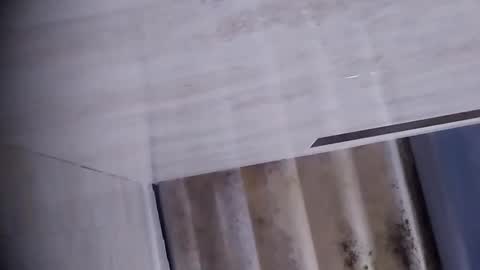 Snapshot of dalila_22 chatting on 09.18.25 Dalila online show from 09.18.25