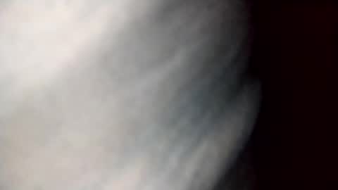 Snapshot of dalila_22 chatting on 10.19.25 Dalila online show from 10.19.25