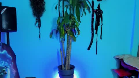 Snapshot of damian_torner chatting on 10.28.25 Damian torner online show from 10.28.25