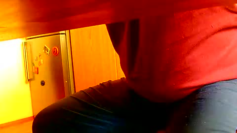 Dammerl online show from 01.08.25