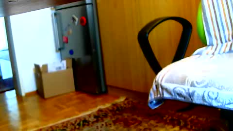 Dammerl online show from 02.03.25