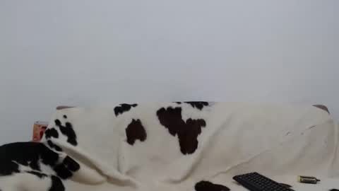 Snapshot of dan_jonson15 chatting on 11.26.25 dan_jonson15 online show from 11.26.25