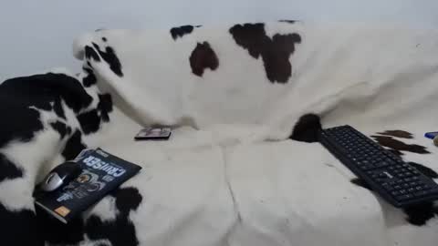 Snapshot of dan_jonson15 chatting on 11.27.25 dan_jonson15 online show from 11.27.25