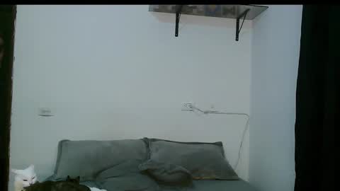 Dan and Noah online show from 03.05.25