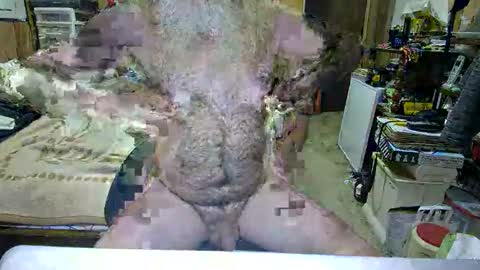 Dana online show from 10.29.25