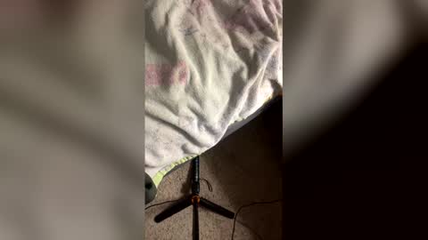 danger_yummy online show from 04.21.26