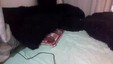 dani9821569006 online show from 09.14.25