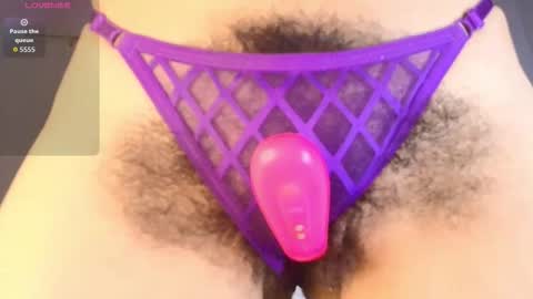 DANIA online show from 03.13.26