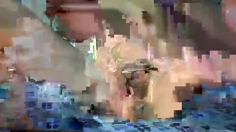 daniel_griffin online show from 05.20.26