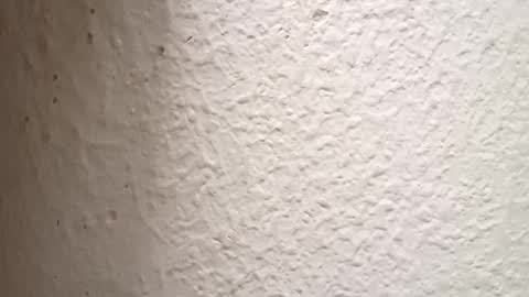 Antidotehot24 online show from 10.03.25