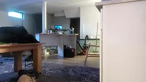 danimal5000 online show from 11.17.25