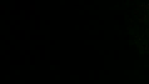 Snapshot of dankshepp chatting on 10.02.25 dandeb online show from 10.02.25