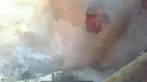 Snapshot of dankz4two0 chatting on 01.11.25 dankz4two0 online show from 01.11.25