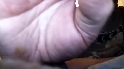 dannowisc online show from 02.01.26